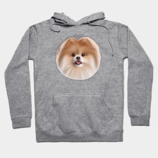 Cute Pomeranian Drawing Hoodie